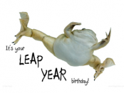 PopNamer_LeapYear_Pic1