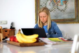 Pixabay - free to use
https://pixabay.com/photos/homeschooling-school-technology-5121262/