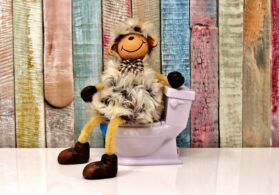Free to use from Pixabay - https://pixabay.com/photos/toilet-sheep-figure-loo-cute-fun-3298222/